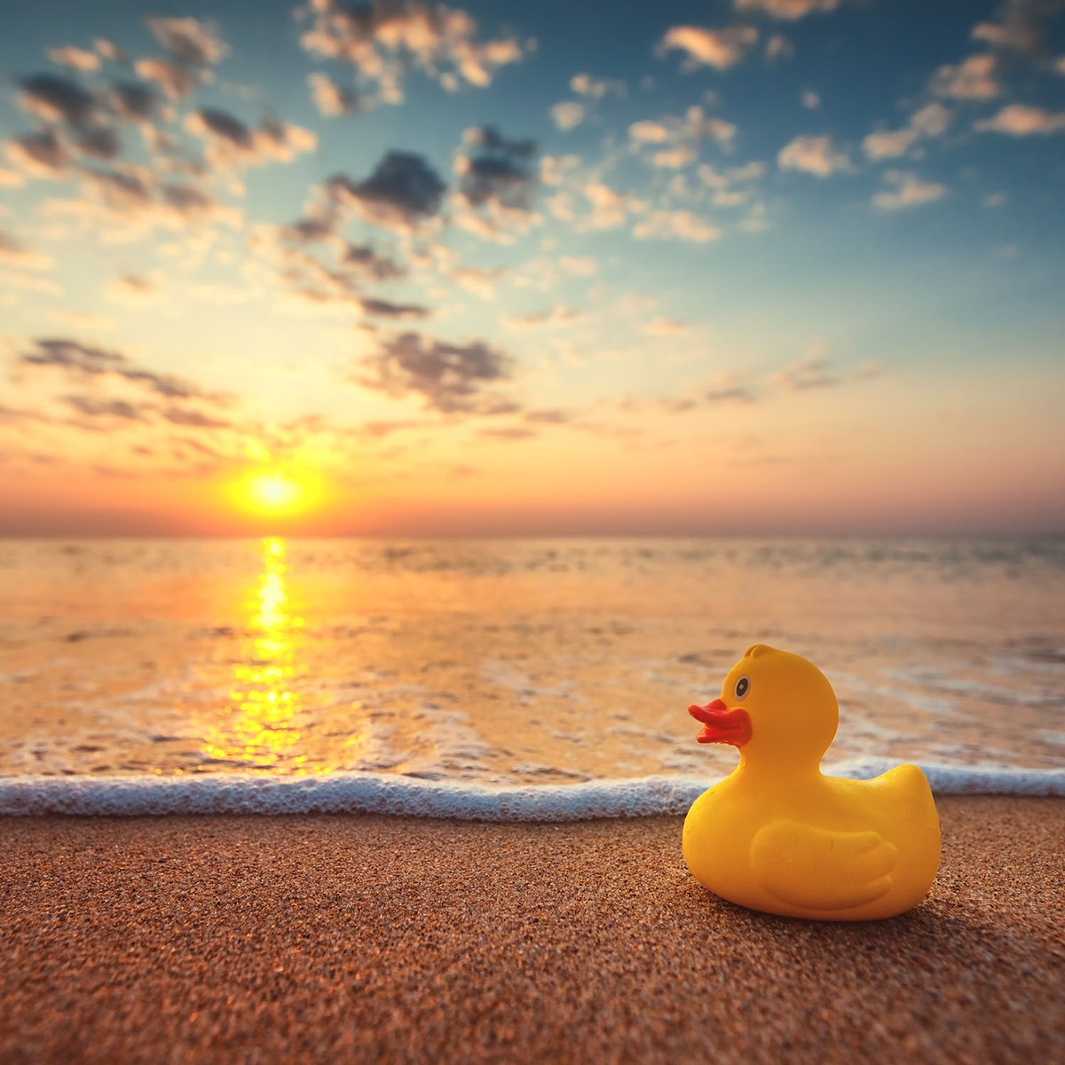 A_AroundFactory's tweet photo. #popculture Dalle vasche da bagno alla conquista del mondo! #RubberDuckDay
.
#aafcommunication #madeinaaf #communication #communicationdesign #pop #sunset #digital #digitalcommunication #socialmedia #content #contentcreation https://t.co/kf3MZyFs2y