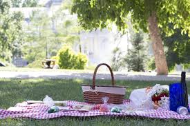 Picnic familiar sorpresa