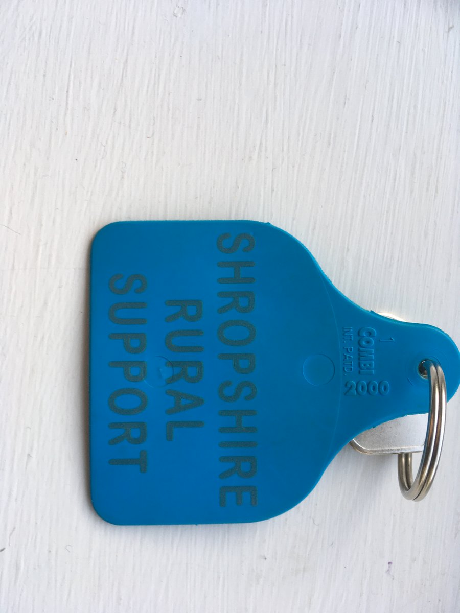 Found in Chester a car key on a SRS blue tag key fob. For more details ring 0300 123 825.