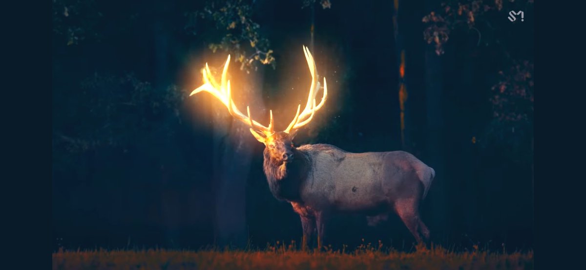 FI-Scu6XIAMQXHZ?format=jpg&name=medium