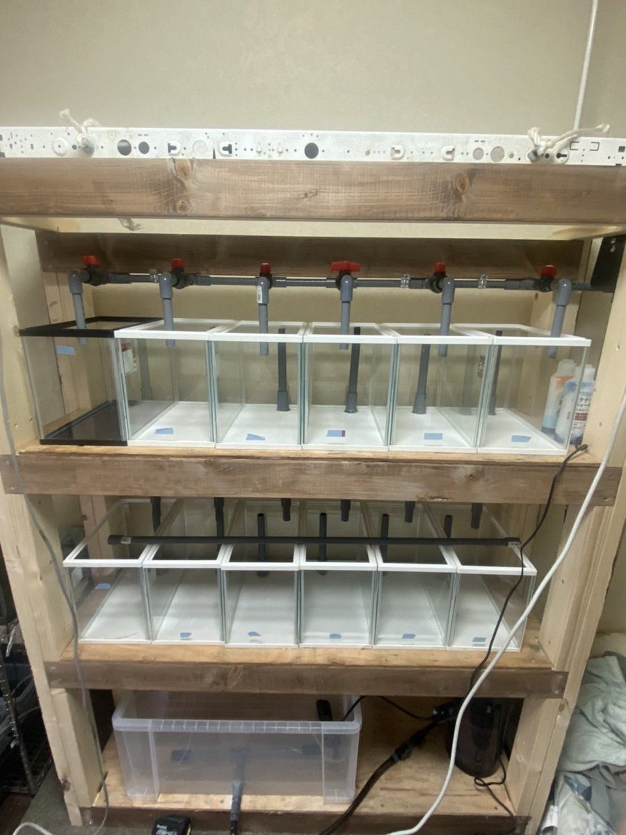 多段式オーバーフロー水槽10連結[引き取り限定] Yahoo!オークション - 【引き取り限定】 90cm オーバーフロー