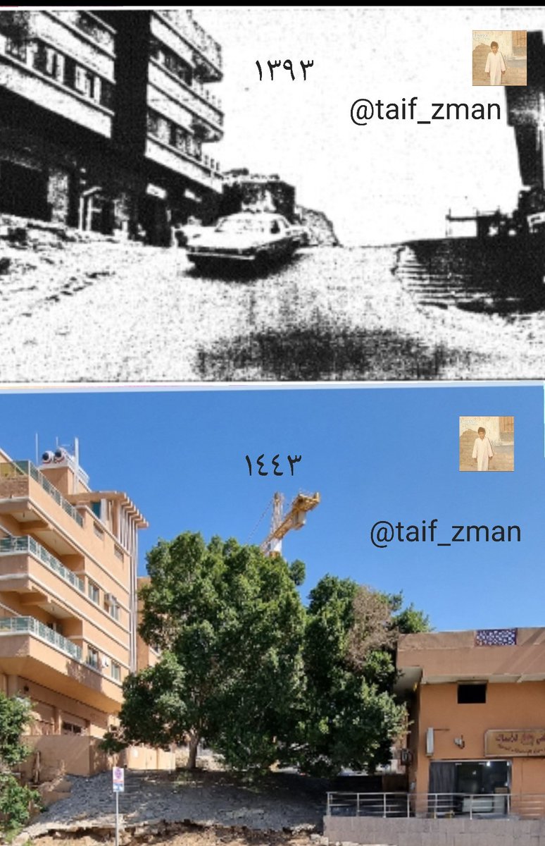 taif_zman's tweet photo. منشية باب الريع بالطائف الفرق بين الصورتين ٥٠ سنة https://t.co/TD2gUEkB1C