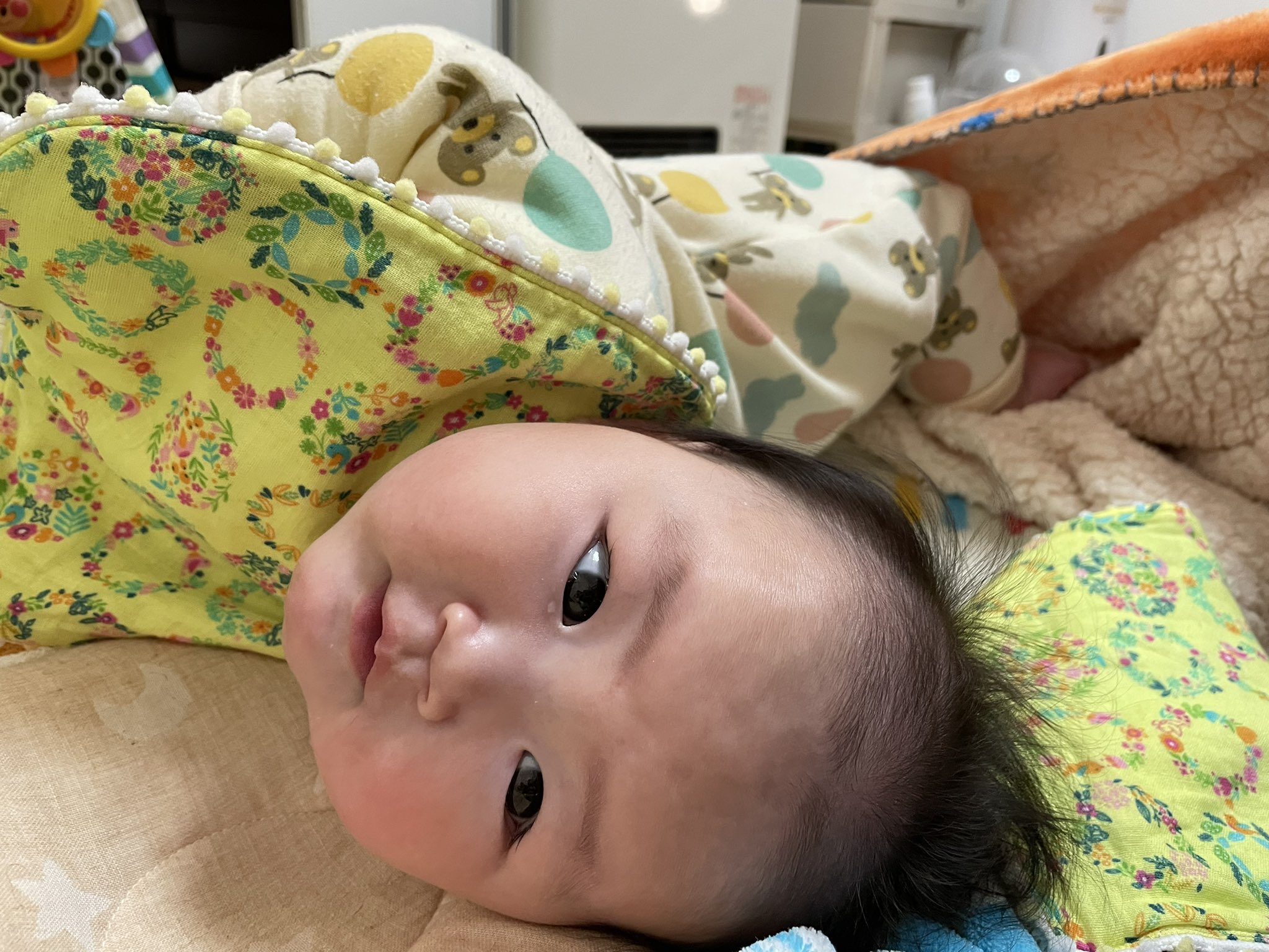 寝返り特訓中 Twitter Search Twitter