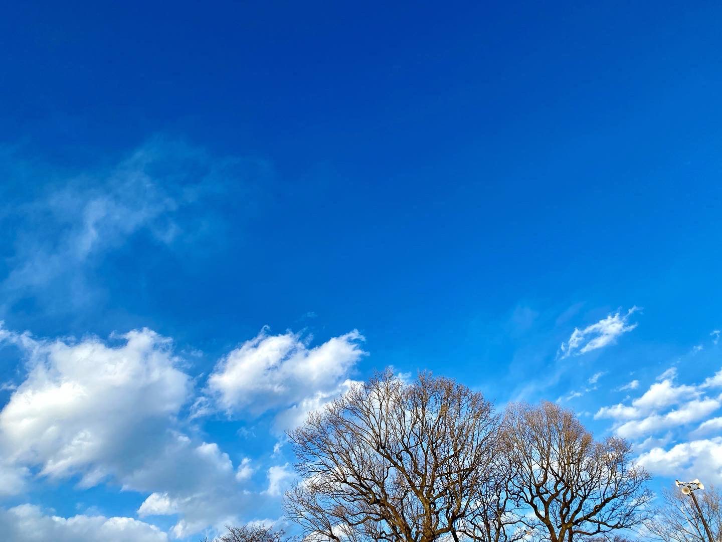 An 本日の空 今日も一日お疲れさま ｐｃ作業のしすぎでまぶたがピクピクするー ストレスmax 空は 癒し 空っていいな 空が好き 空の先は宇宙なんだよ 地球は美しいね インスタはこちら T Co Yslnkeenbs T Co