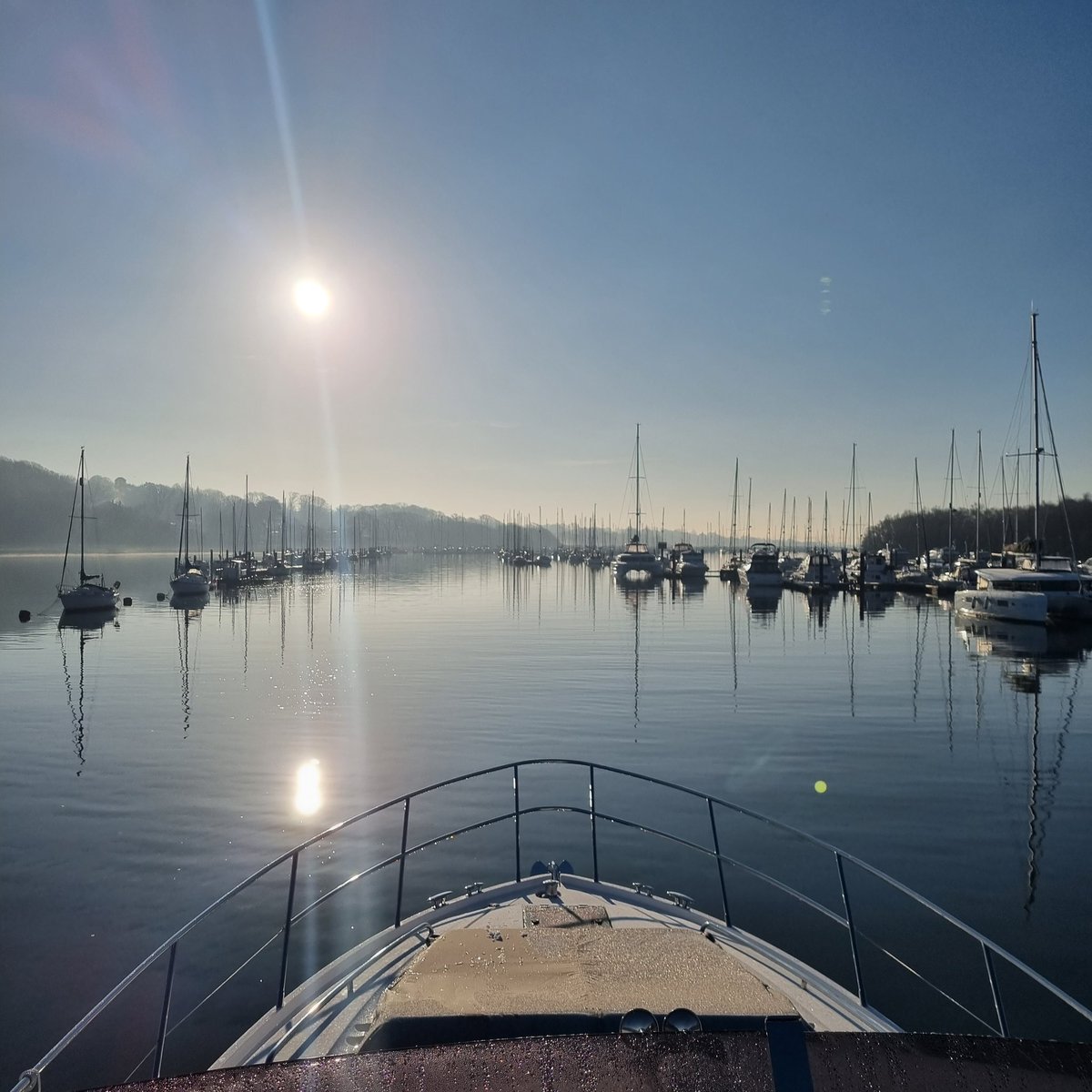 Roy Tidman tweet media