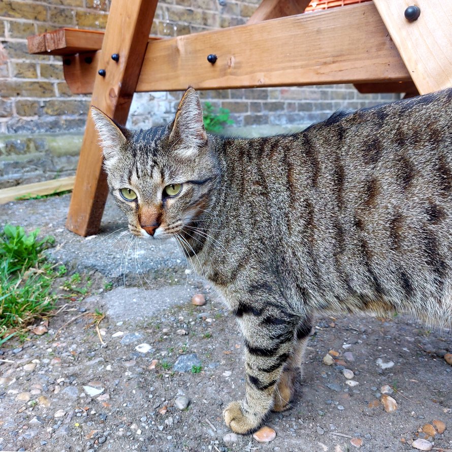 3equals1 Design tweet media