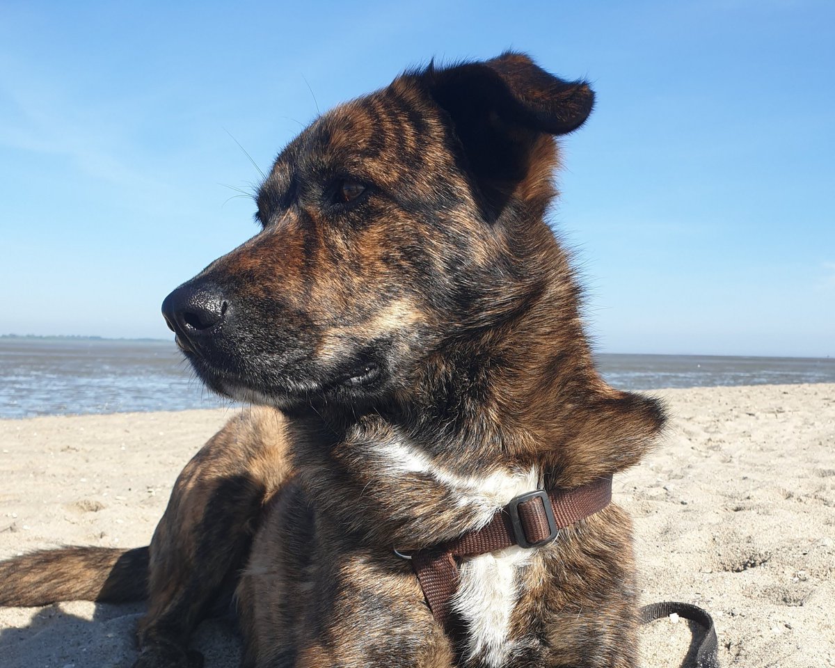Sehnt ihr euch auch schon wieder nach den warmen Tagen am Strand? 🤩⛱⛱