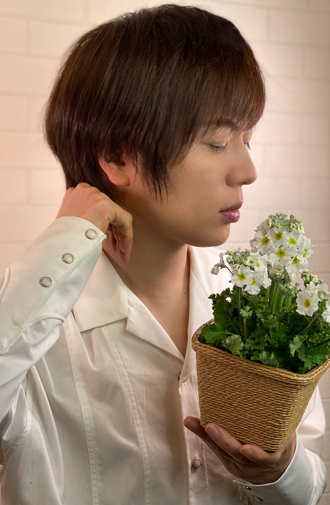 あまりりす Takeshima Staff 今夜も白い花 プリムラ マラコイデスの花便りを有り難う 春の花ですね 小さな花なのに 花言葉は 力強い 運命を開く 竹島さんの横顔 何か考えているみたいだけど 運命について思案中 考え過ぎて眠れなくなったりし
