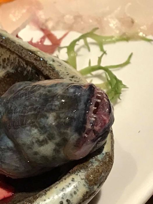 みんなの ムツゴロウ 刺身 口コミ 評判 食べたいランチ 夜ごはんがきっと見つかる ナウティスイーツ