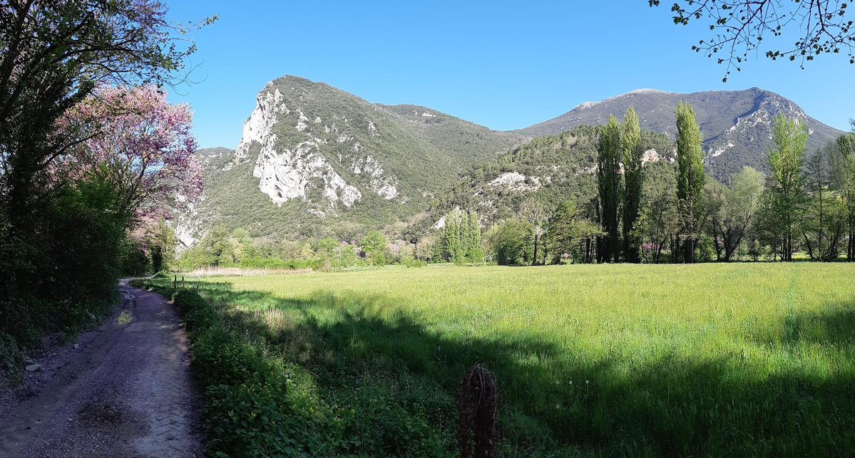 Per staccare qualche ora e respirare a pieni polmoni, un giro su due ruote immersi nella natura incontaminata della Valnerina è proprio un’idea perfetta! Scegliete la Ciclovia del Fiume Nera e fateci sapere se non è così! 😉
bit.ly/3GqrU1c
#bikeinumbria #umbriaoutdoor