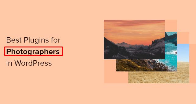 webnahidh's tweet photo. 3 Best WordPress Plugins for Photographers

Thousands of photographers use WordPress to share their work with the world. That’s because WordPress is the easiest way to build a photography website.
1. Smash Balloon
2. Envira Gallery
3. Soliloquy https://t.co/VX1aBVxgKo