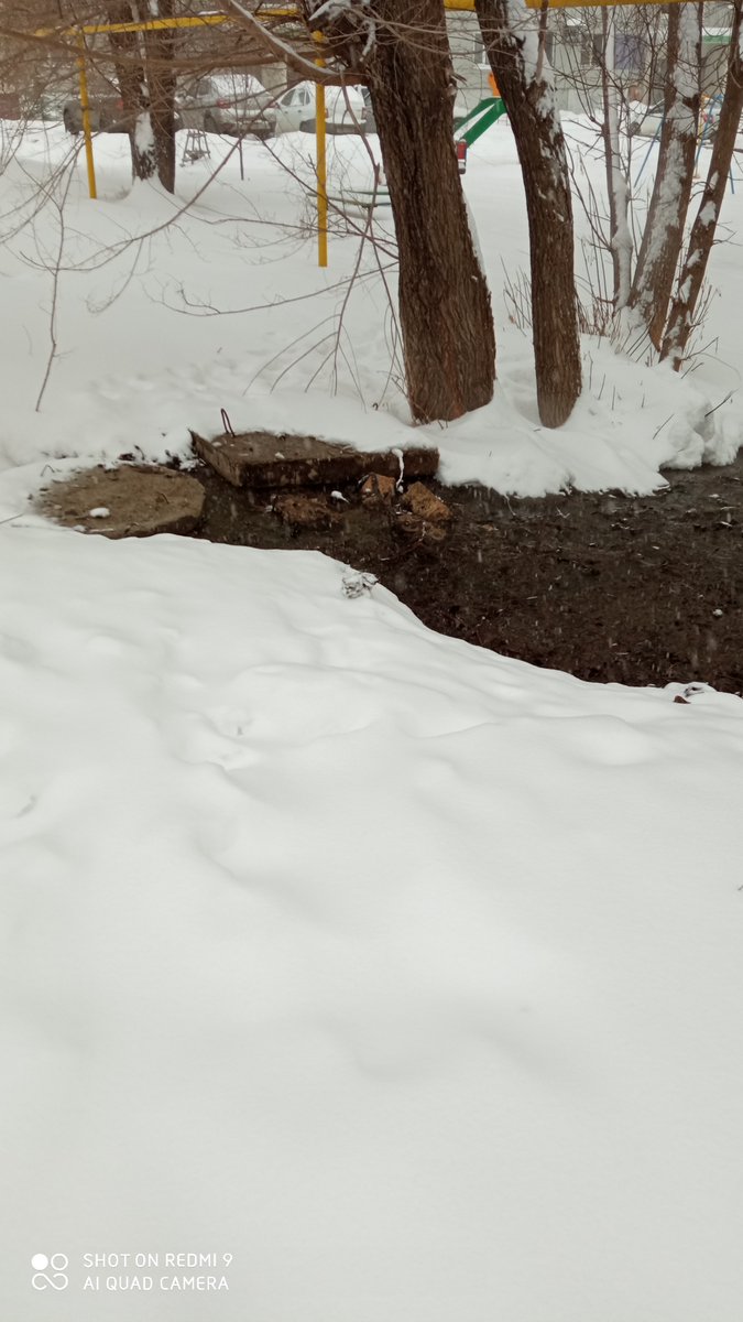 Галина Васильевна tweet media