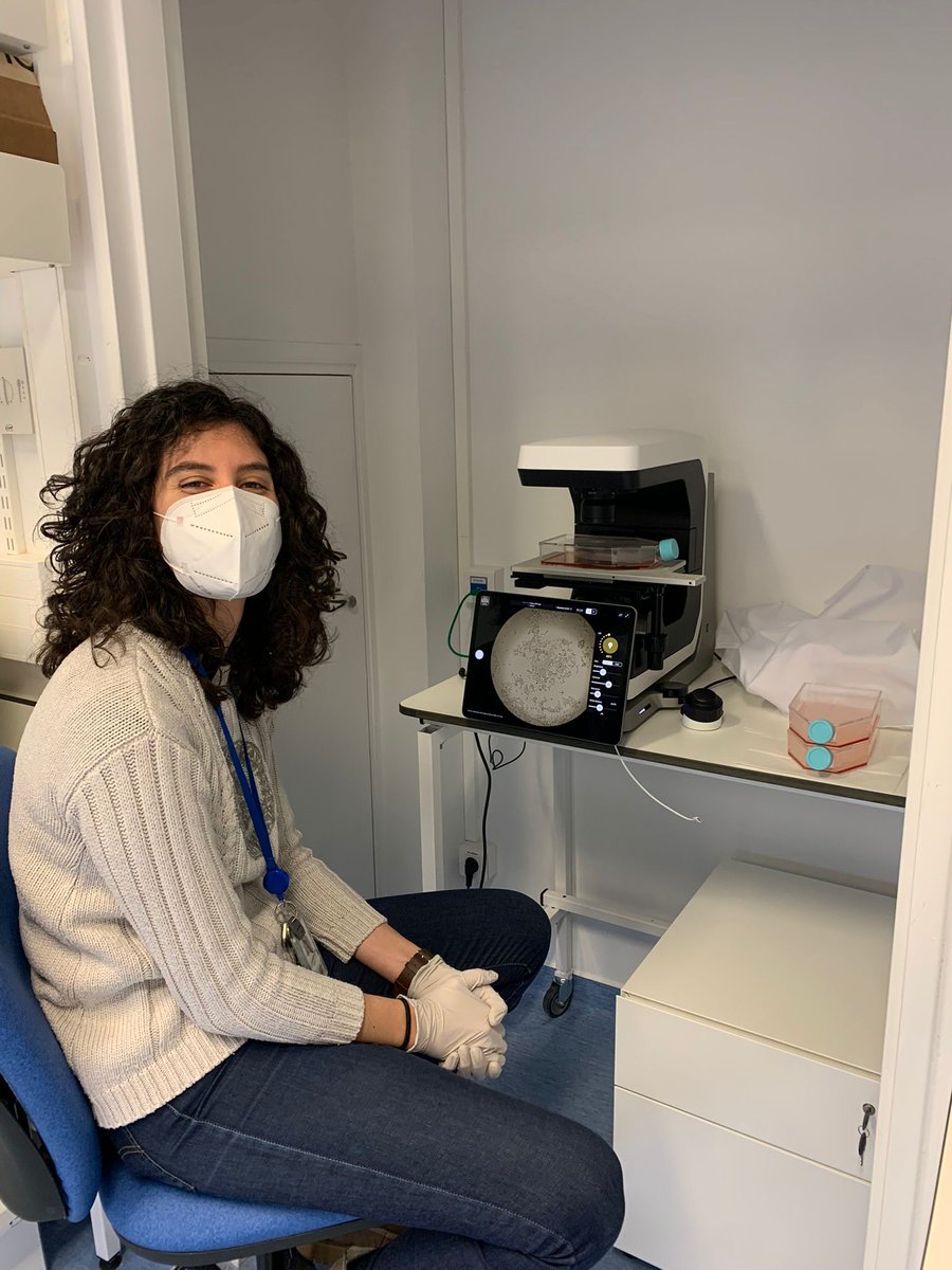 AleksDeLab's tweet photo. Big news in the lab: WE HAVE CELLS!!!
Let the magic begin! 
Shoutout to @Marc_F_Koch for help with setting up this beautiful Revolve microscope from @Discover_Echo 
Operator and cell tamer: @AmaiaDB https://t.co/ABOuLY2K31