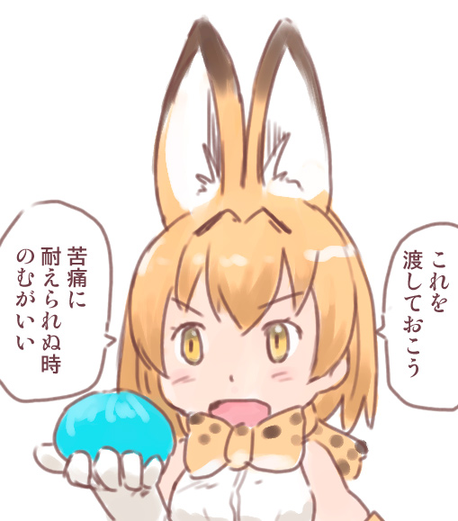 こっちの方が画像の日付が前だった。 
