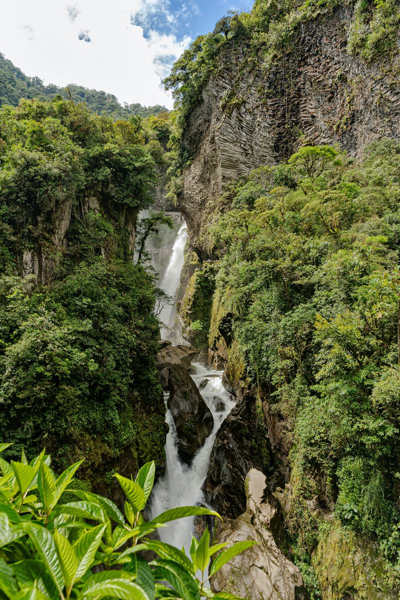 naturefever's tweet photo. Amazon

#NaturePhotography https://t.co/TuOJHKoRE4
