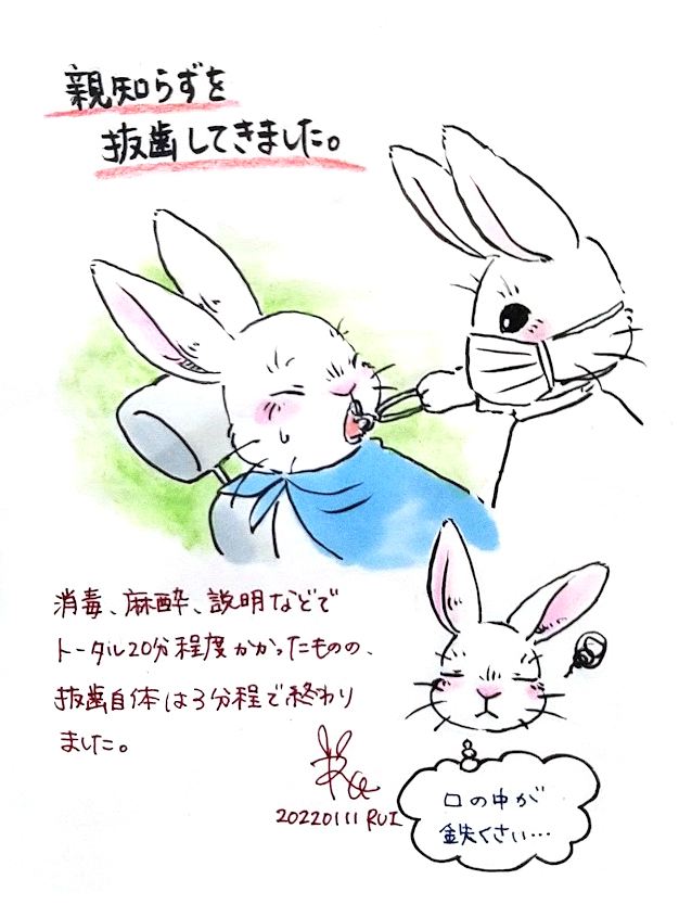 Rui Magictheater Rui 0801 Twitter