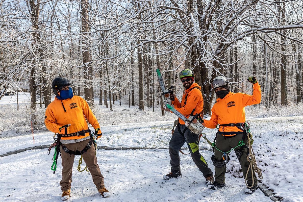 It may be cold but there’s nothing better than working with your best friends every day!

We currently are offering aggressive winter discounts on all tree work, so schedule your free estimate today!

#treeworker #winter #friends #love #smile #fun #trees #ct #newengland