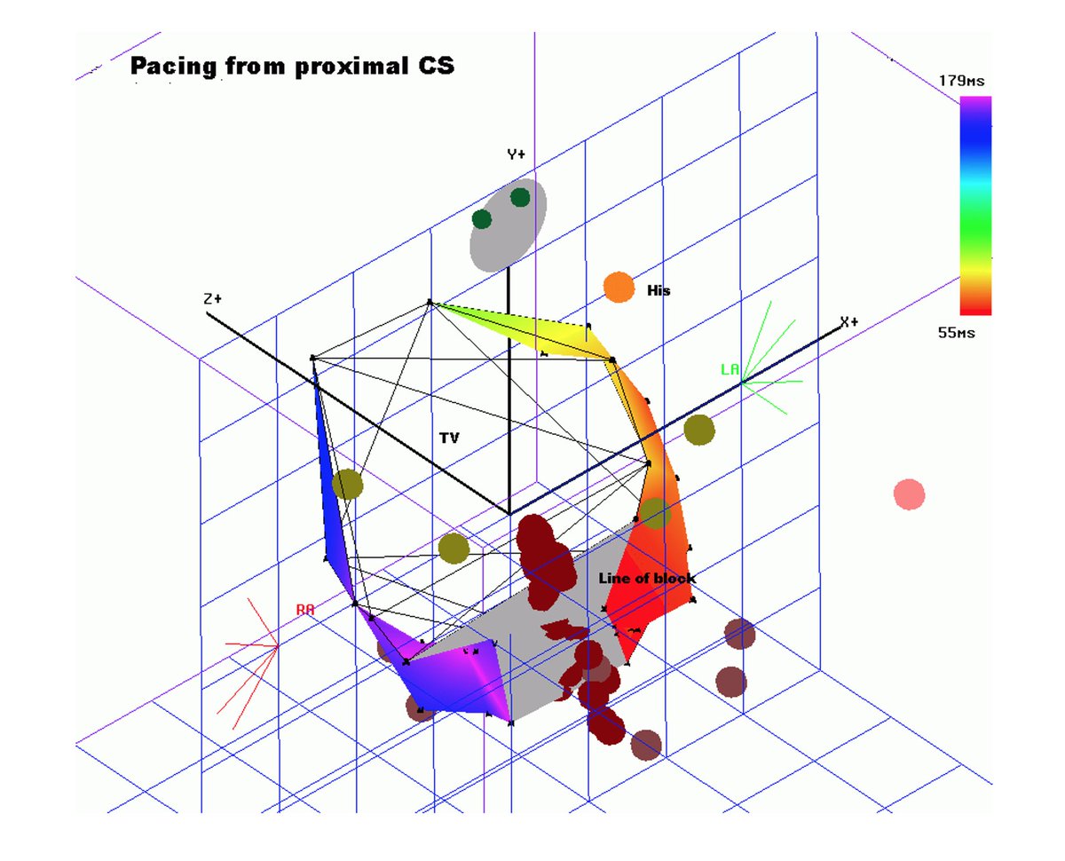 Sergio Pinski tweet media