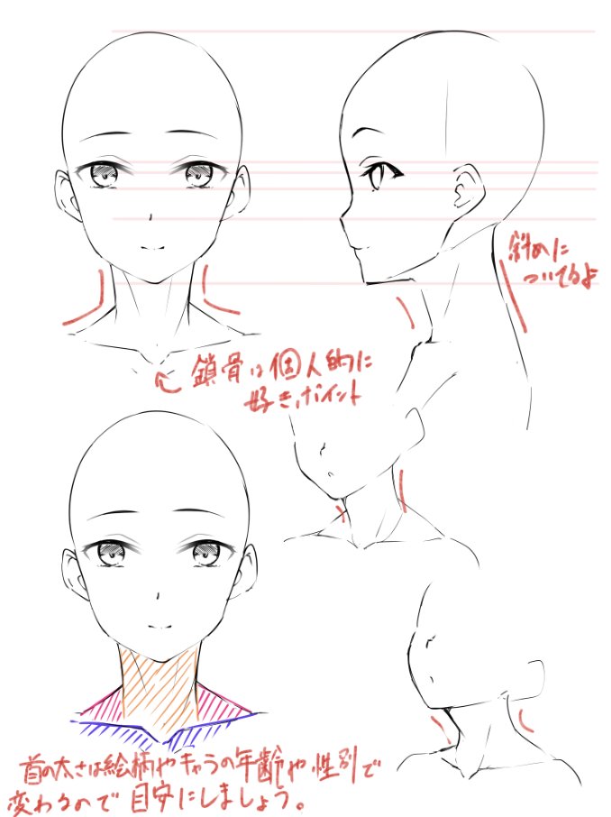 首から上を描く目安?にしてます。
次は腰から上までの解説をする予定です。
ご覧くださった方がバストアップの構図の絵を描けるようになるまで続ける予定です。
