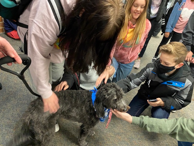 Today is my first day as a therapy dog at Millard North Middle School, I just made 820 new best friends!! 😊 I love this place! #nmsstangs #Proud2bMPS <a href="/DrIngwerson/">Scott Ingwerson</a>