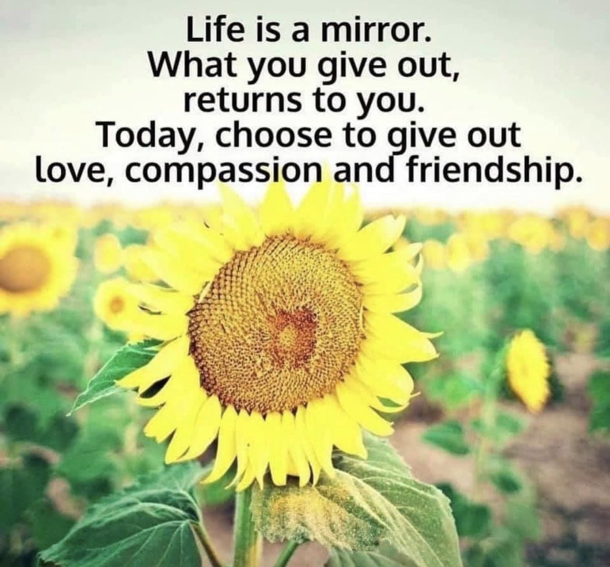 Good Morning 👋💪🦋