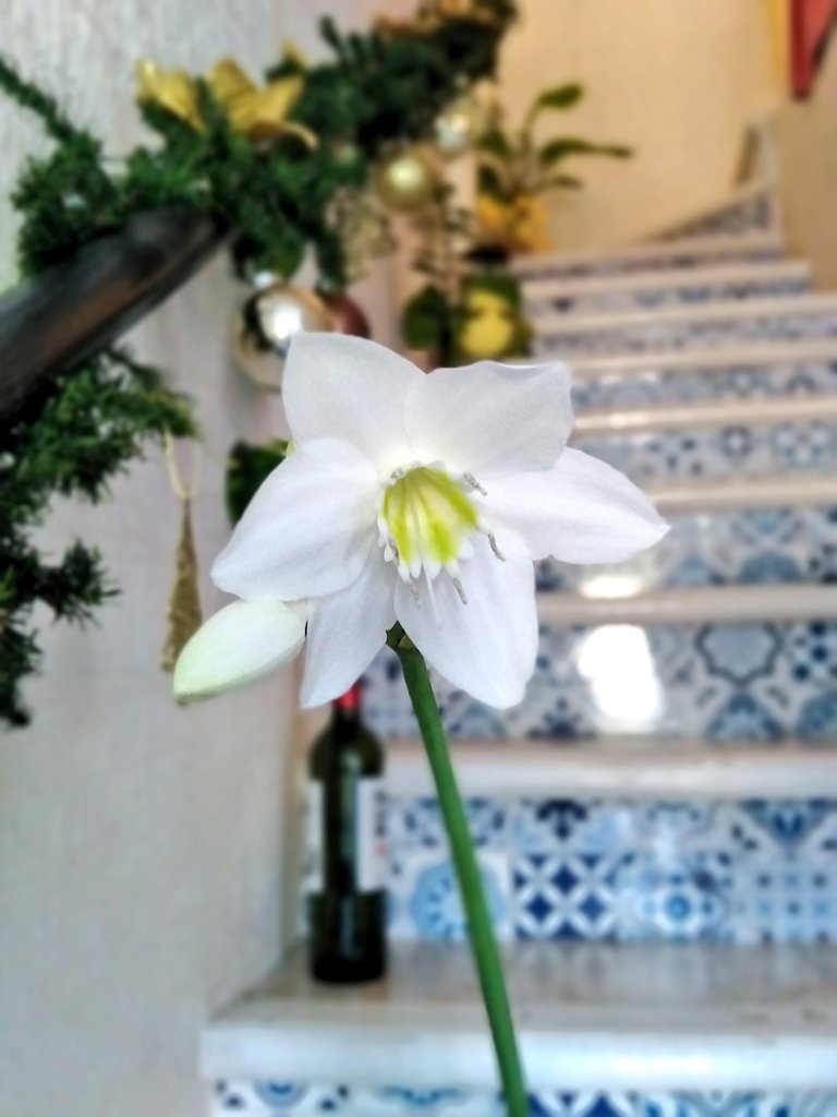 Aw♥️😍que bonita amaneció