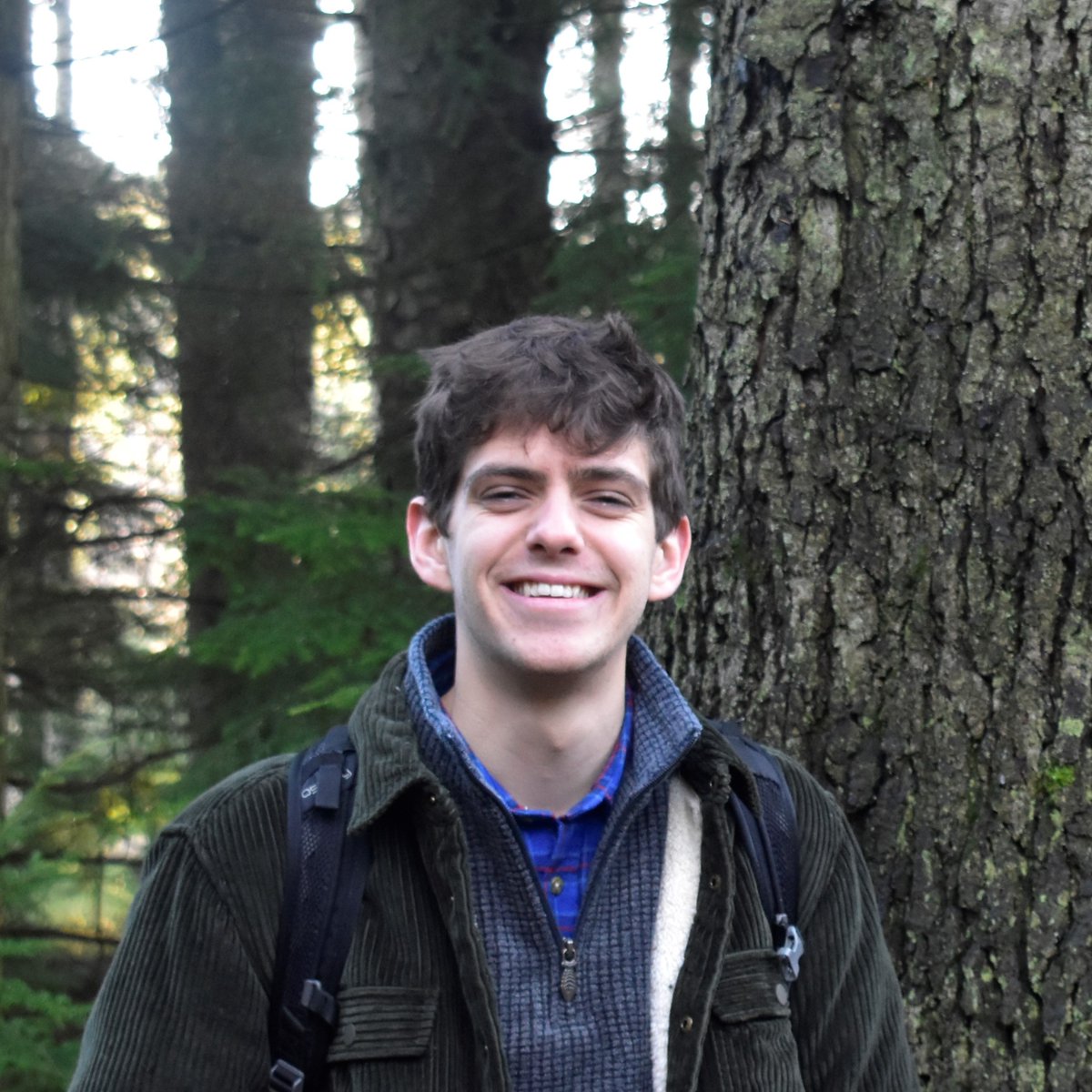 TilhillForestry's tweet photo. A BLOG by Peter Roe, Assistant Forest Manager, Scotland.
Phytophthora Pluvialis
"What is it, which trees does it affect, &amp; what is its current status? I hope my article can shed a bit of light on what I fear is the latest in our battle against disease"
https://t.co/44K1m8WDLI https://t.co/z982SZbF1S
