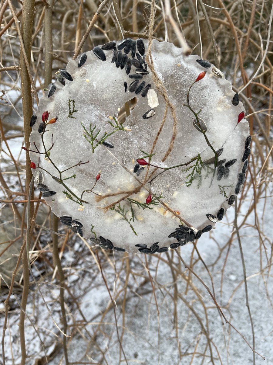 Forest Valley OEC tweet media