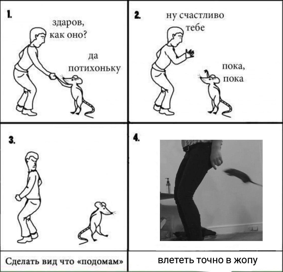 приколы со стимом фото 38