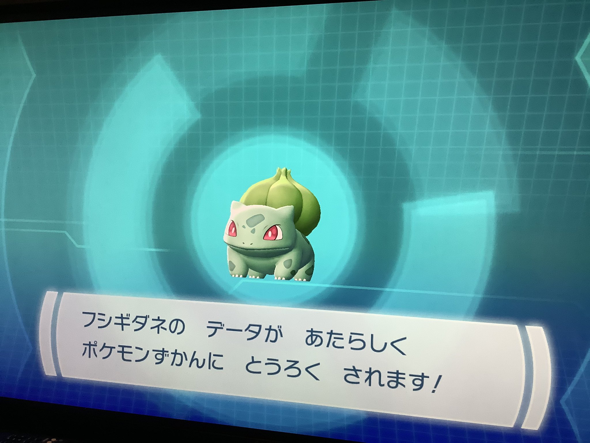 Sara 上の子がピカブイしてて 野生のフシギダネを見かけたそう 捕まえたいとずーっと森をウロウロしてる 執念だなぁと思ってたら 本当にその執念でフシギダネ出てきて そして捕まえれた すごいなー 私ならハナダシティで貰えるからいいやー Sara 上の子がピカブイしてて 野生のフシギダネを見かけたそう 捕まえたいとずーっと森をウロウロしてる 執念だなぁと思ってたら 本当にその執念でフシギダネ出てきて そして捕まえれた すごいなー 私ならハナダシティで貰えるからいいやー