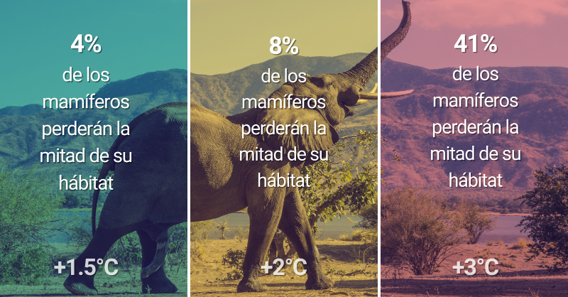CMNUCC's tweet photo. La frecuencia de las catástrofes🌊
La supervivencia de plantas y animales 🐻‍❄️
La propagación de enfermedades🩺
La estabilidad de nuestro sistema climático📈
La posibilidad de que la humanidad sobreviva en el planeta 🌎

...dependen de unos pocos grados.🌡️