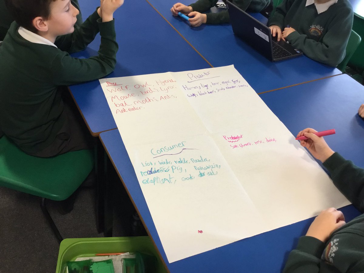TGPS_NorthLincs's tweet photo. Year 4 are learning about food chains, today we are identifying different consumers, producers, predators and prey. #TGPS #TGPSScience #TGPSTeamwork https://t.co/GZOT4NcL5i