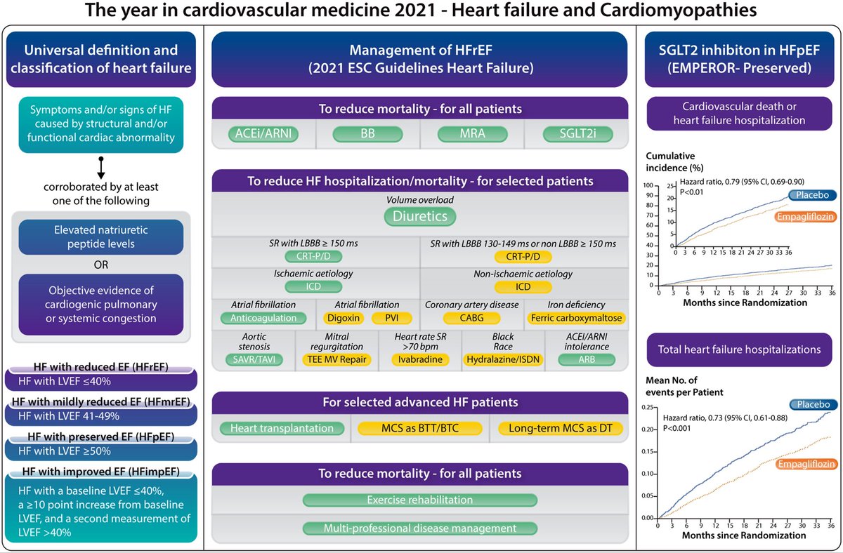 #Cardiología #MedicinaInterna
Resumen de la definición universal y clasificación de insuficiencia cardíaca; manejo de HFrEF de acuerdo con guías de la ESC 2021 y resultados del ensayo EMPEROR.