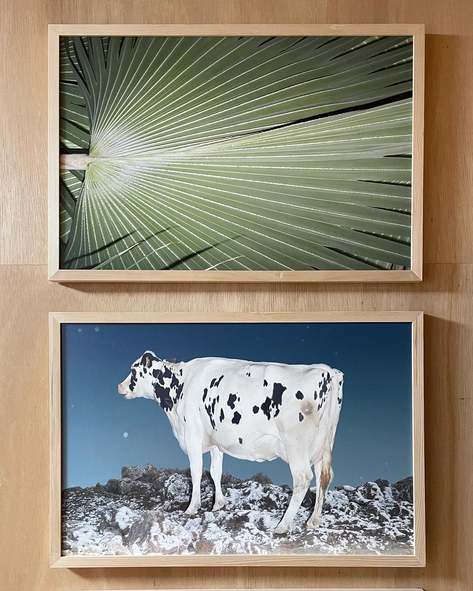 Hisayuki_Namba's tweet photo. Konomad pop up exhibition vol.3
[自然界のドラマ] ‘The Drama of Nature’
2022.1.7 - 1.16
https://t.co/QE0G8MCAXc https://t.co/ioJDPWKow3