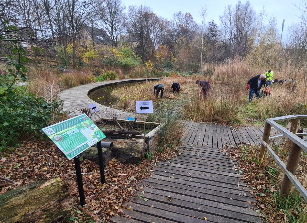 froglifers's tweet photo. The @HeritageFundUK @HeritageFundL_S funded #LondonTOAD project not only thinks that #CommonToads are one of our #HeritageTreasures, but all of the valuable green spaces you find across #London too! Spaces just like @TCVtweets Lavender Pond LNR in Southwark (pictured). https://t.co/hfbECdHyfx