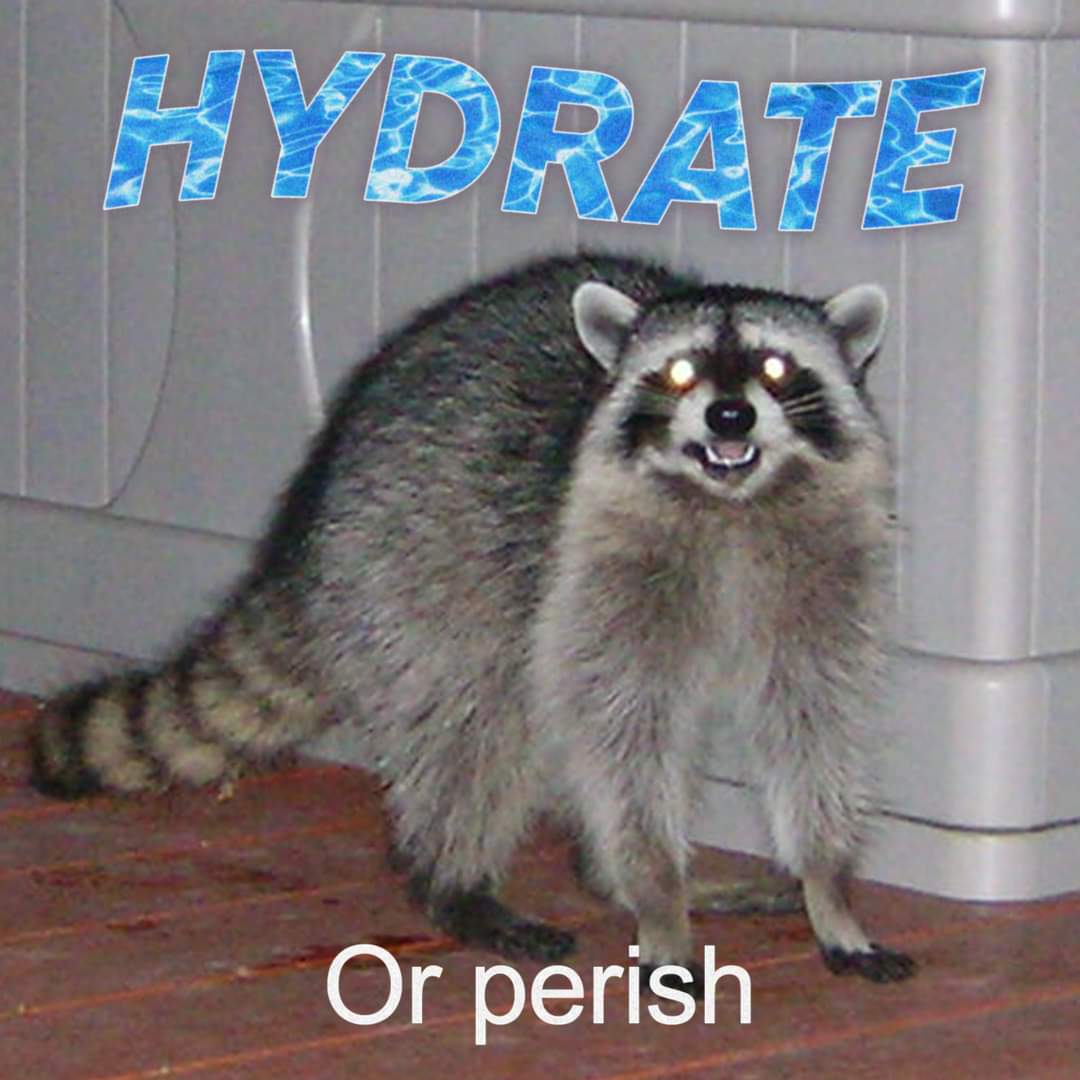 etsusagi's tweet photo. I feel like this is what my viewers think when they redeem hydrate XD
#Vtuber #streamermeme https://t.co/Bk6igA3WWz