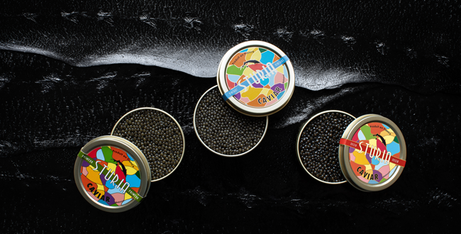 lefigarovin's tweet photo. Vodka-caviar 100% français : découvrez notre sélection croisée et nos meilleurs accords.

#vodka #caviar #selection @GreyGoose @Faronville  https://t.co/wOIFo8cFAU https://t.co/Y7cmGFdeay