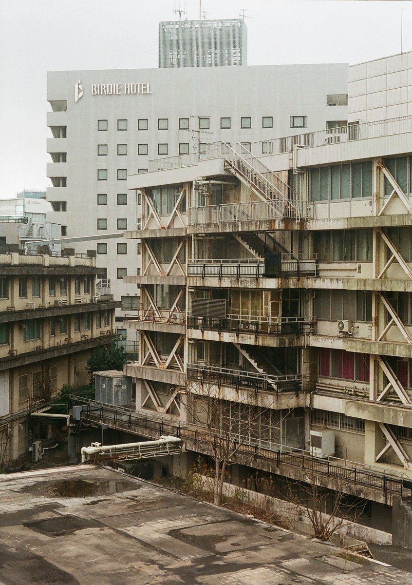 Naicha666's tweet image. Film : Fuji 100
#PenF  
#フィルム写真