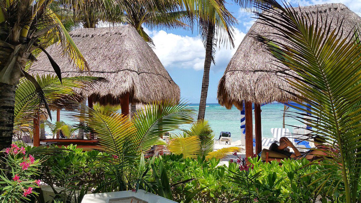 RevelDaily's tweet image. A beautiful beachfront at a hotel in Mexico! To learn more, be sure to check out our YouTube video on the top 10 resort hotels in Mexico! Find the link to our YouTube in our bio! #Revel