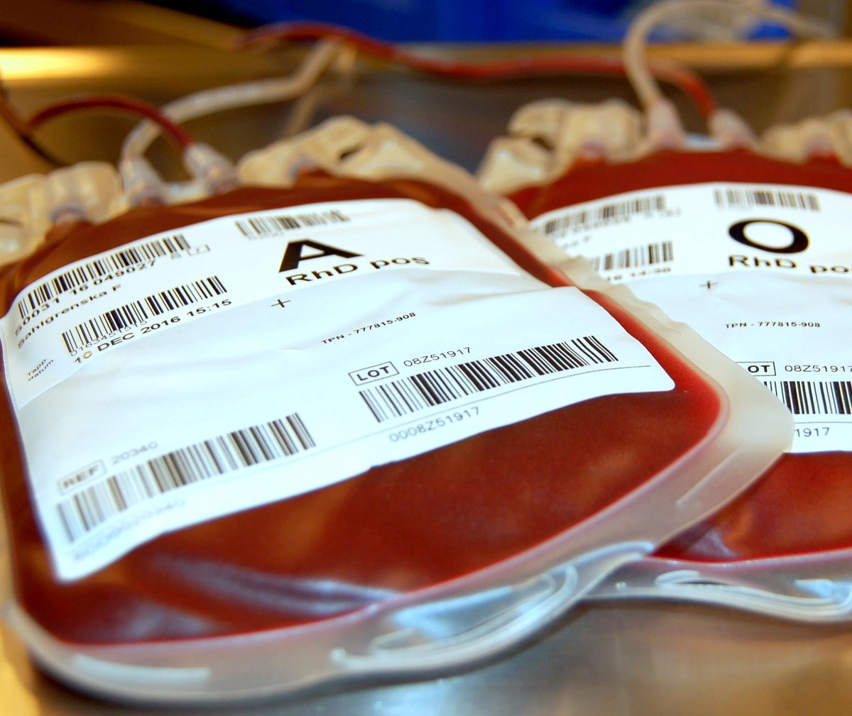 AKUT BLODBRIST I SKÅNE - FRISKA BLODGIVARE EFTERLYSES! 
Rekordhög covid-19 smitta, förkylningar o karens efter vaccination gör att många inte kan ge blod och att blodlagret i Skåne nu är nere på oroande låga nivåer. Din hjälp behövs! GeBlod.nu  @regionskane