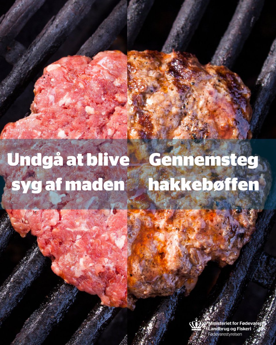 🦠13 personer er siden december blevet syge af bakterien STEC, som er en E. coli bakterie. Hvis du gennemsteger hakkebøffen, burgerbøffen og kødbollerne, så dræber du eventuelle bakterier, som kan gøre dig syg.🦠

Læs mere: direc.to/h3du

#dkfood #dkbiz