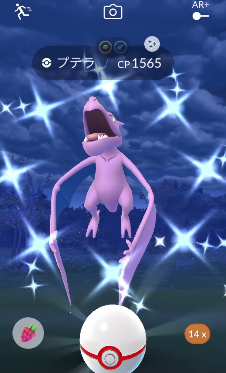ぺと ポケモンgo メガエナジーをちょうど集め終わる3回目で色違いきたぁぁ プレボ色違いプテラ良いぞぉ ポケモンgo 色違い 色違いプテラ T Co Bobiihgcln Twitter
