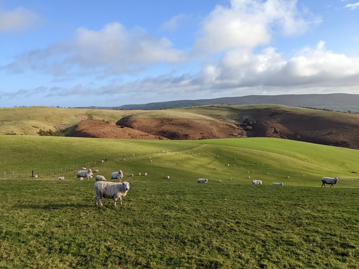 Tom Chance tweet media