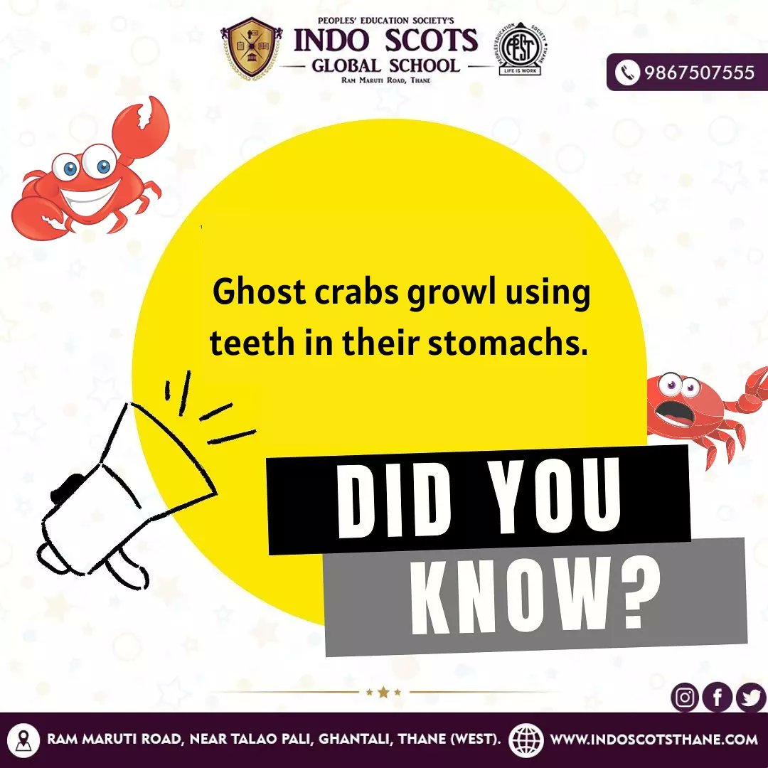 Who knew Ghost crabs had teeth in their stomachs?😯
#education