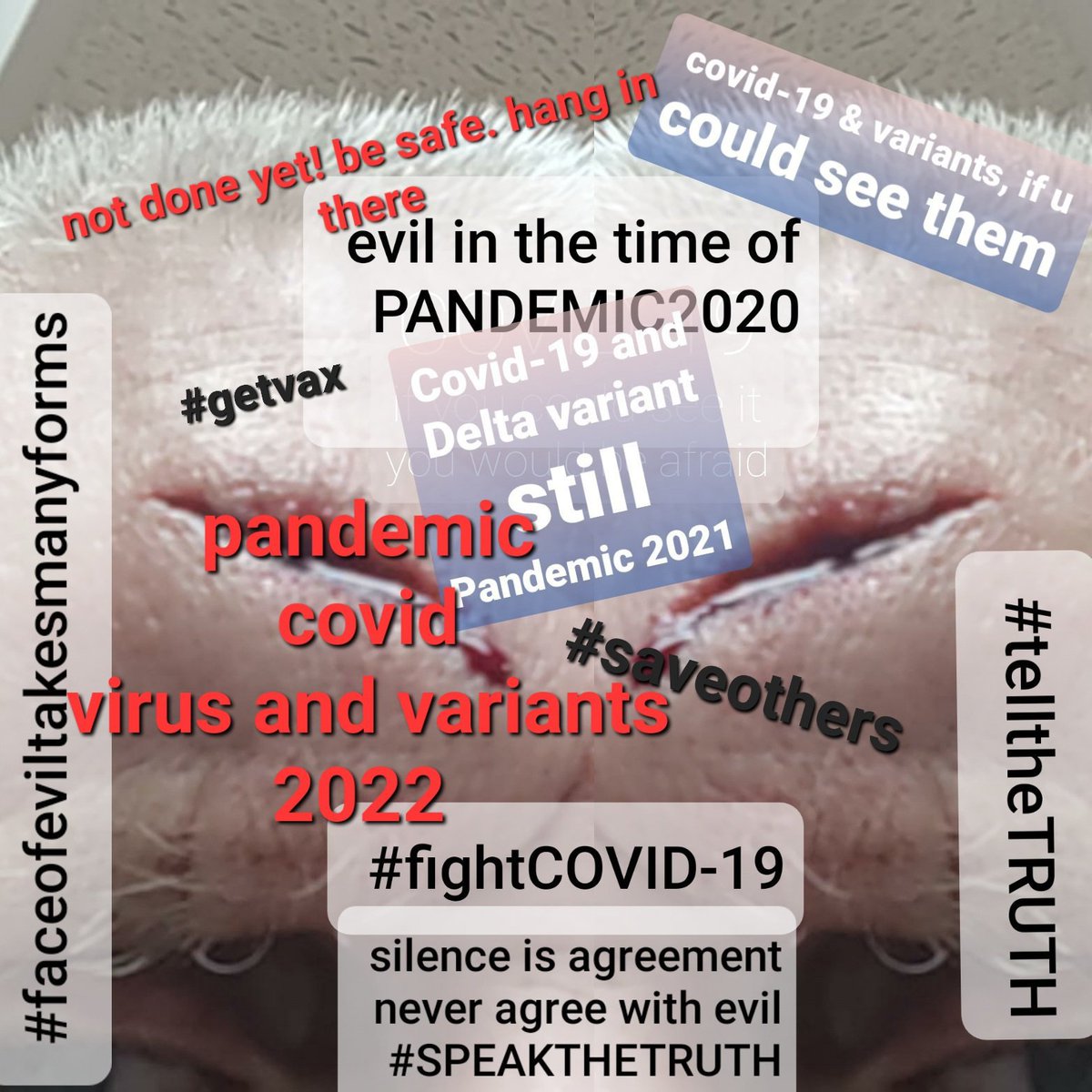 nztwitt's tweet image. $timeofpandemic #getvaxx #spreadthelove #tellothers #spreadlovenotthevirus #covid2022
#notover
