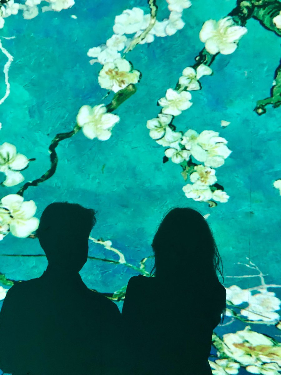 slow connection tweet media