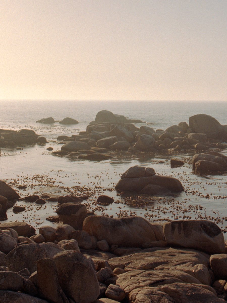alexkibb_'s tweet photo. I have a bit of an obsession with rock formations in Cape Town 🪨 #35mm https://t.co/TWIUPpLoo7
