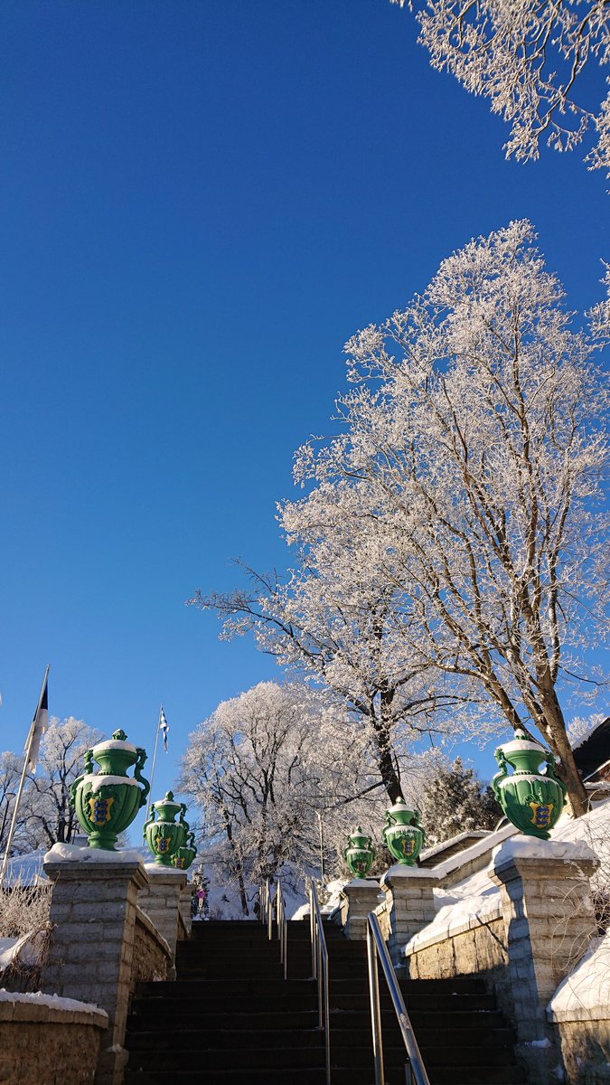 #NftPresent tweet media