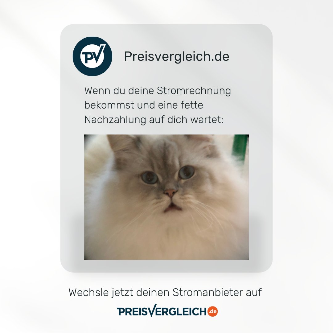 Dieser Moment, wenn Du mal wieder eine Nachzahlung von Deinem Stromanbieter erhältst. Damit Dir das nicht mehr passiert - wechsle jetzt deinen Anbieter bei Preisvergleich.de. Sichere Dir nicht nur coole Angebote, sondern auch Cashback: bit.ly/3c5GSwr 
#Memes #funny