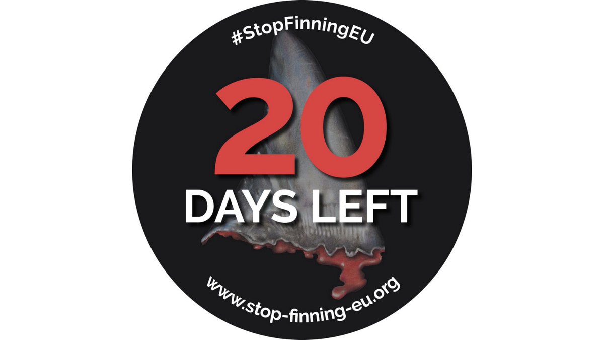 #StopFinningEU: 20 Days left to end the bloody #shark #fin trade in #Europe. We need 480.000 Europeans to give their vote until January, 31. Let´s make a #FinBanNow happen! stop-finning-eu.org✍️🇪🇺